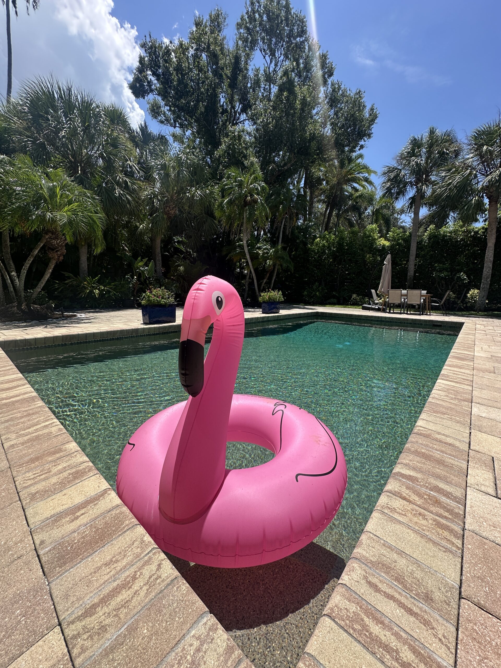 Heated saltwater pool