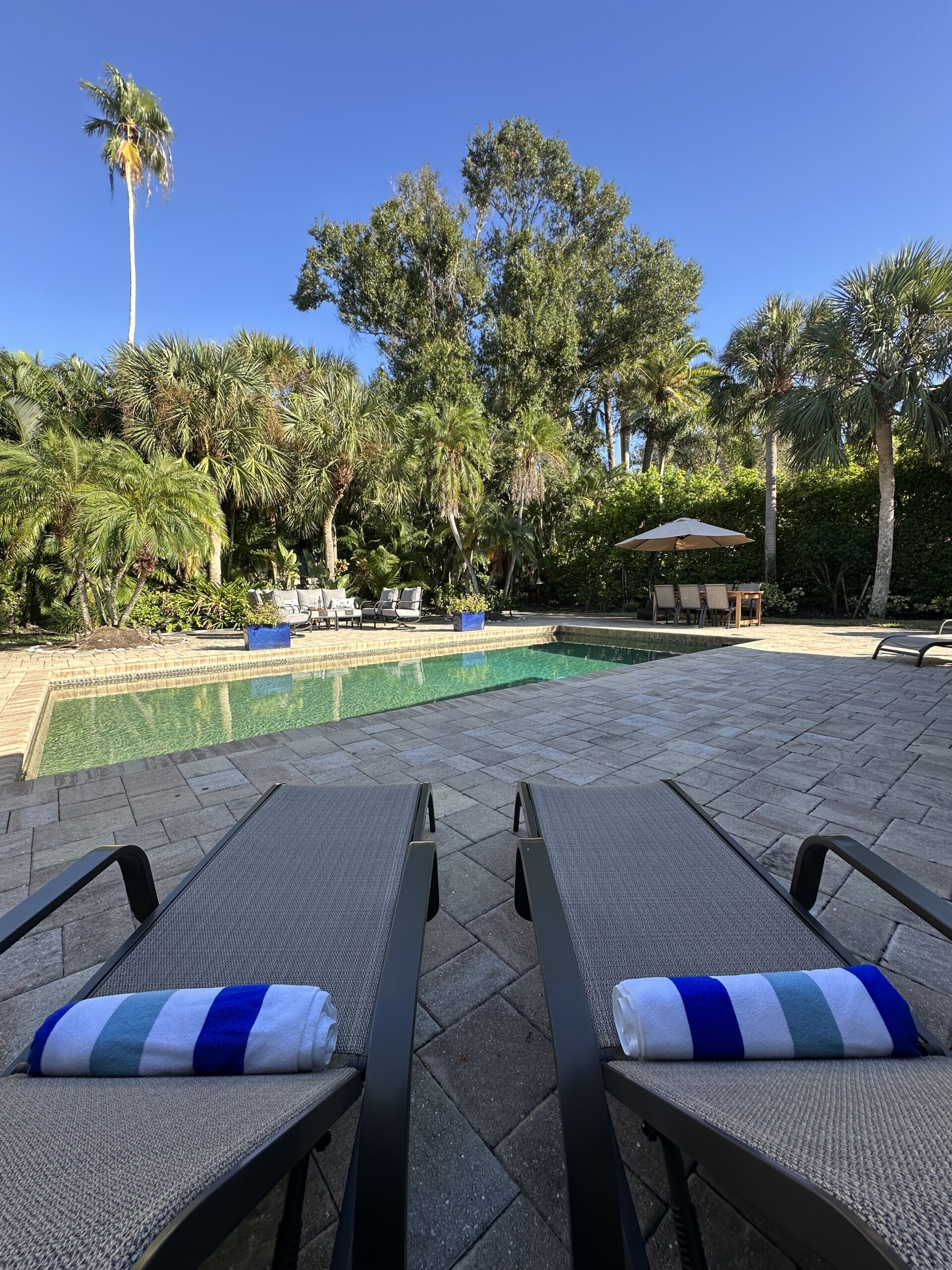 Pool lounge chairs