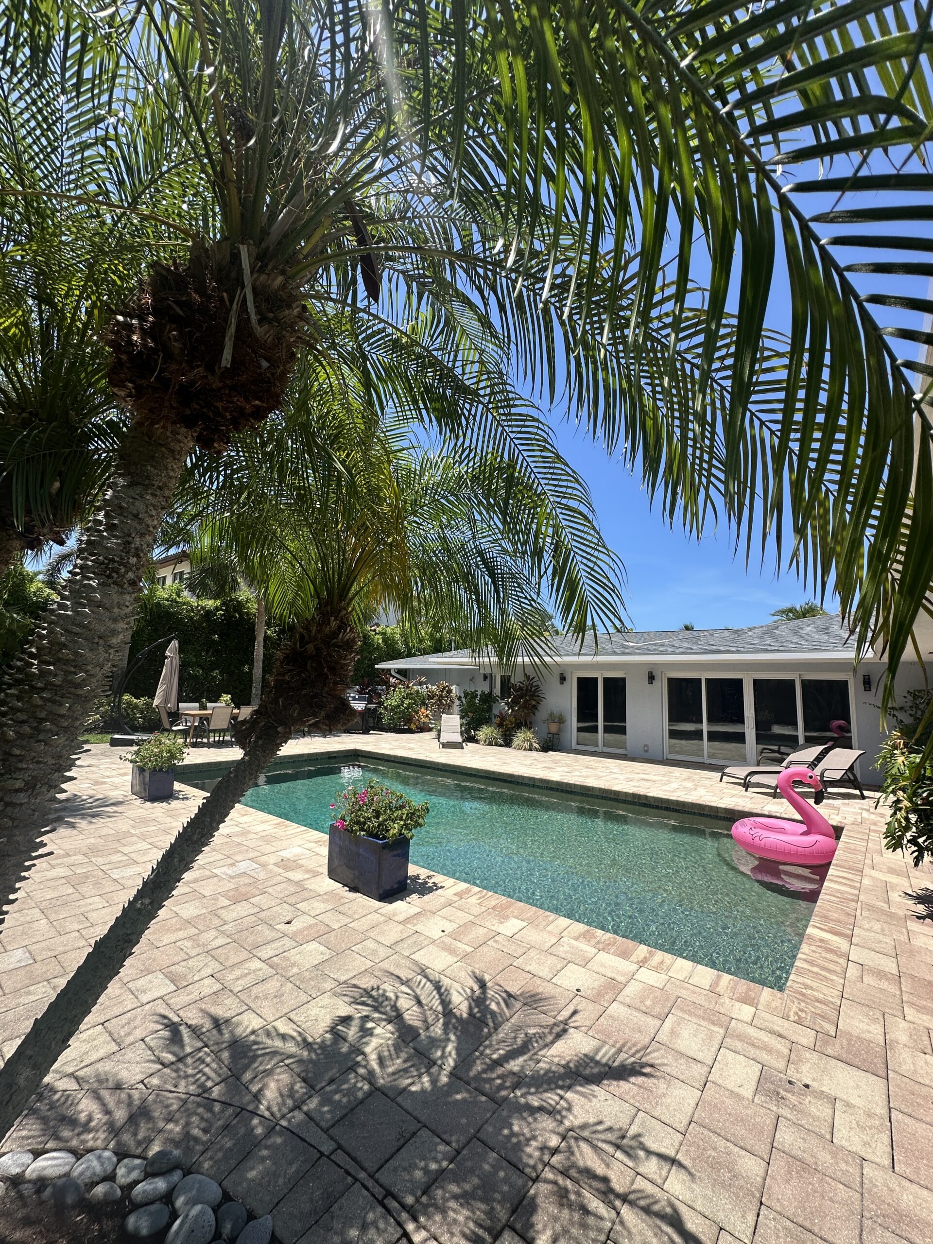 Pool viewed through palm trees