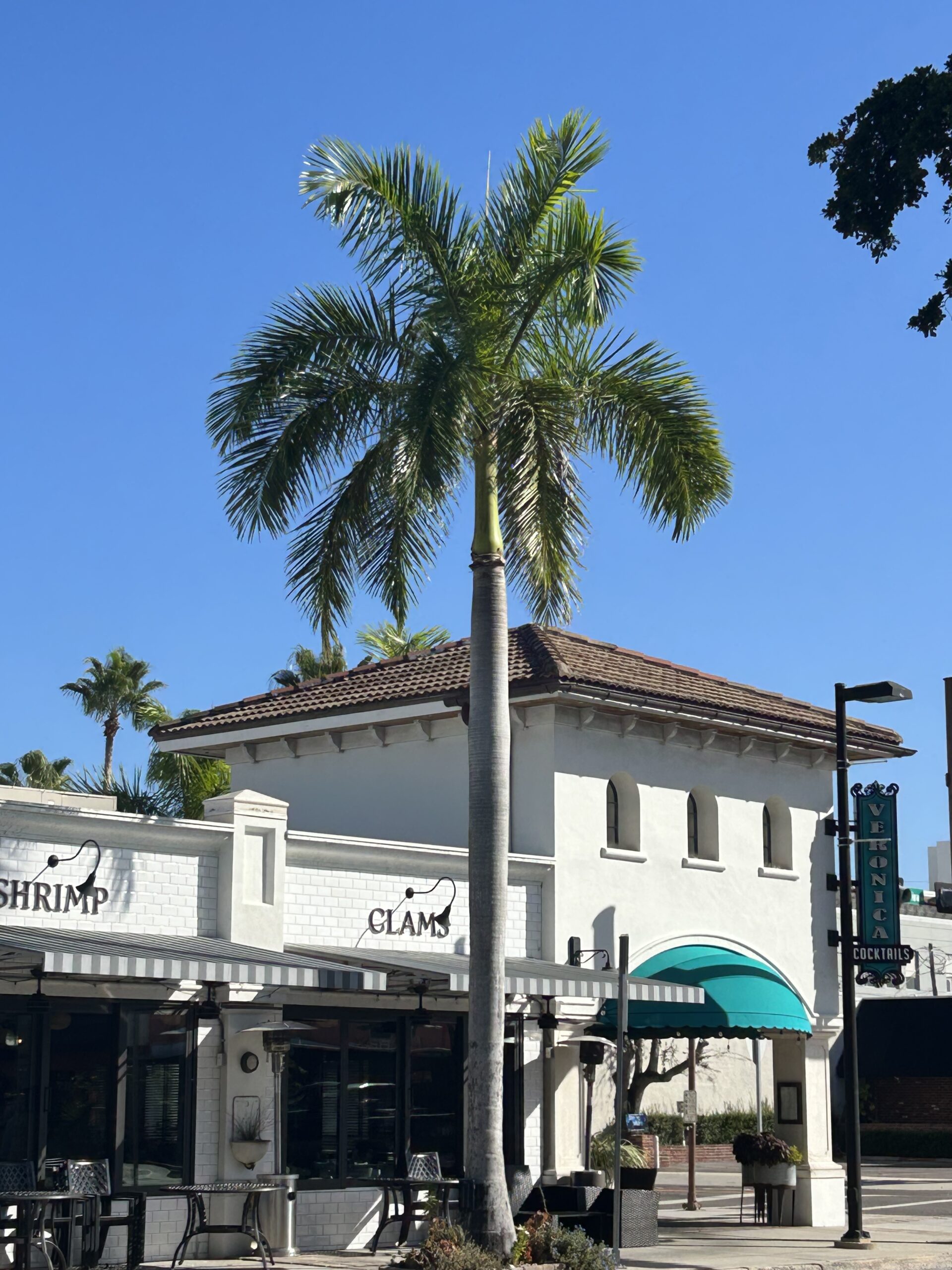 Southside Village restaurant